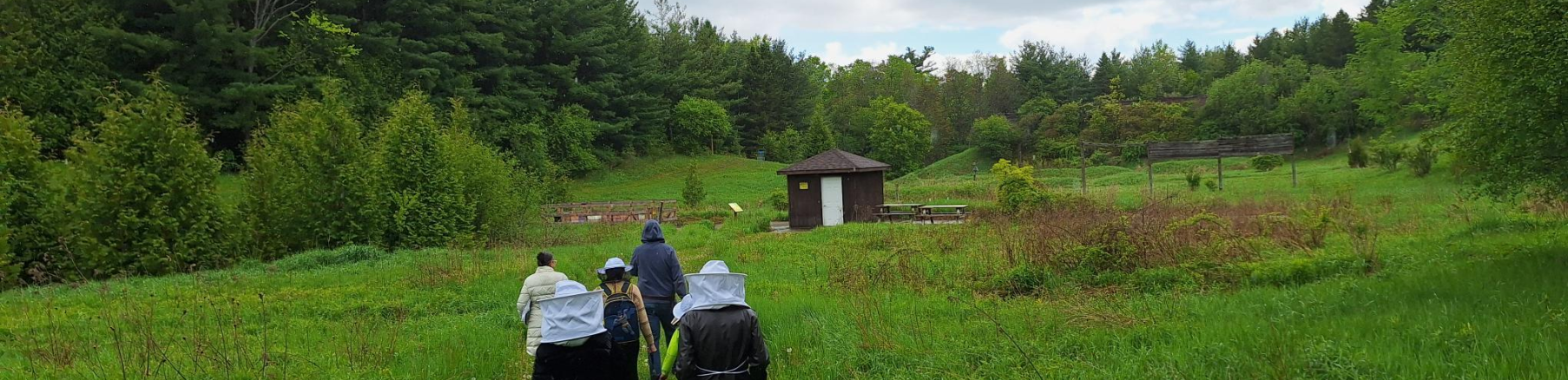 Cold Creek Apiary 