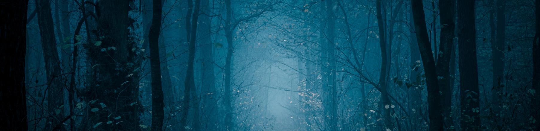 Creepy Forest 