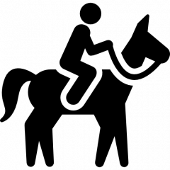 image of horseback riding